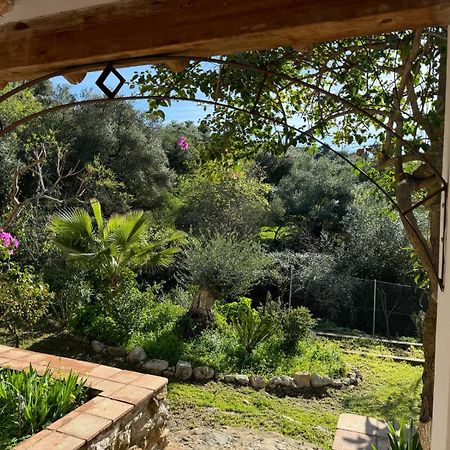 Villa La Fontana Cortes de la Frontera Esterno foto