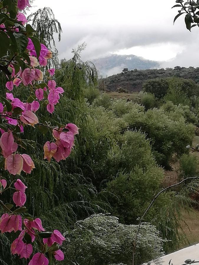 Villa La Fontana Cortes de la Frontera Esterno foto