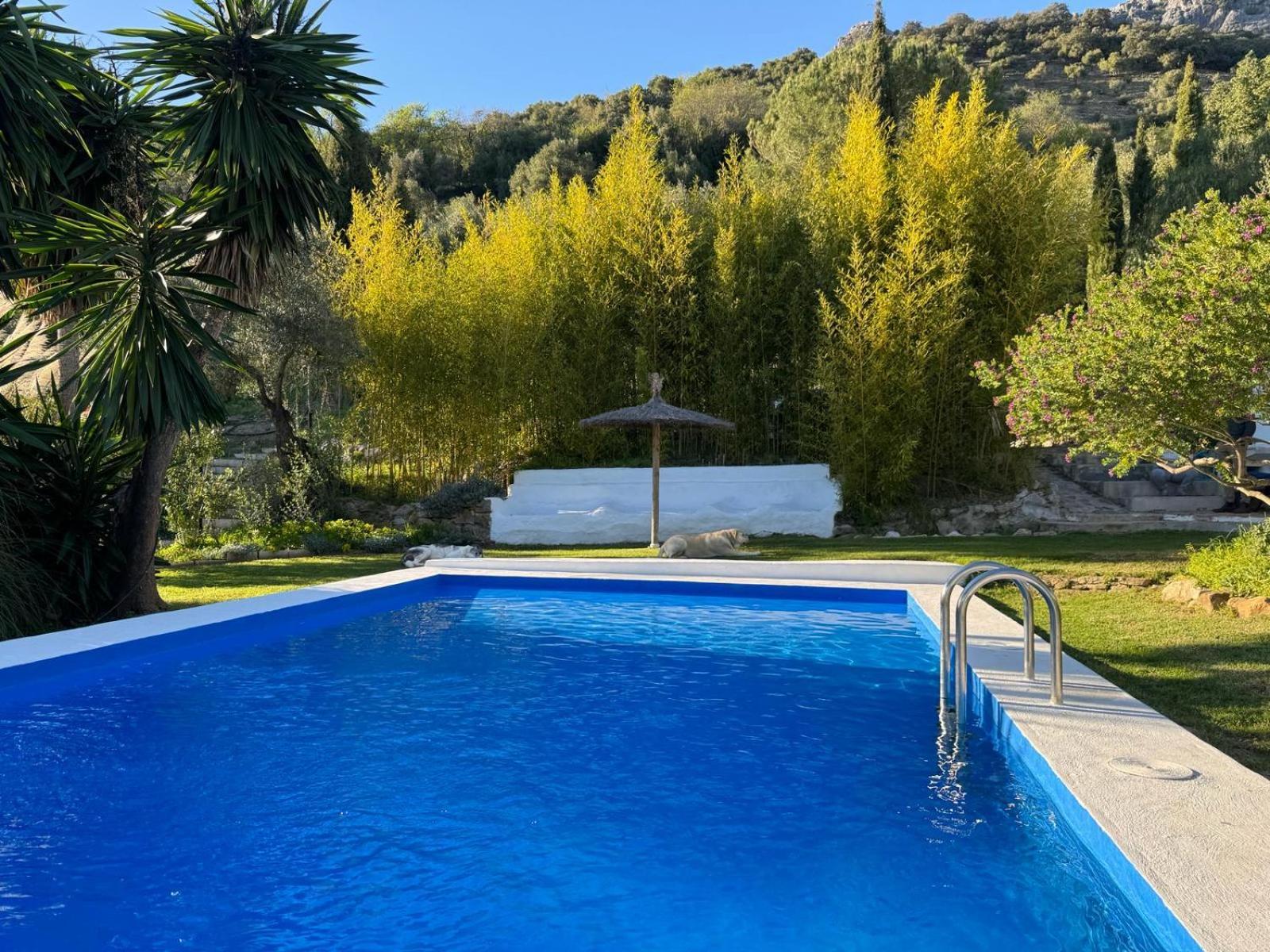 Villa La Fontana Cortes de la Frontera Esterno foto