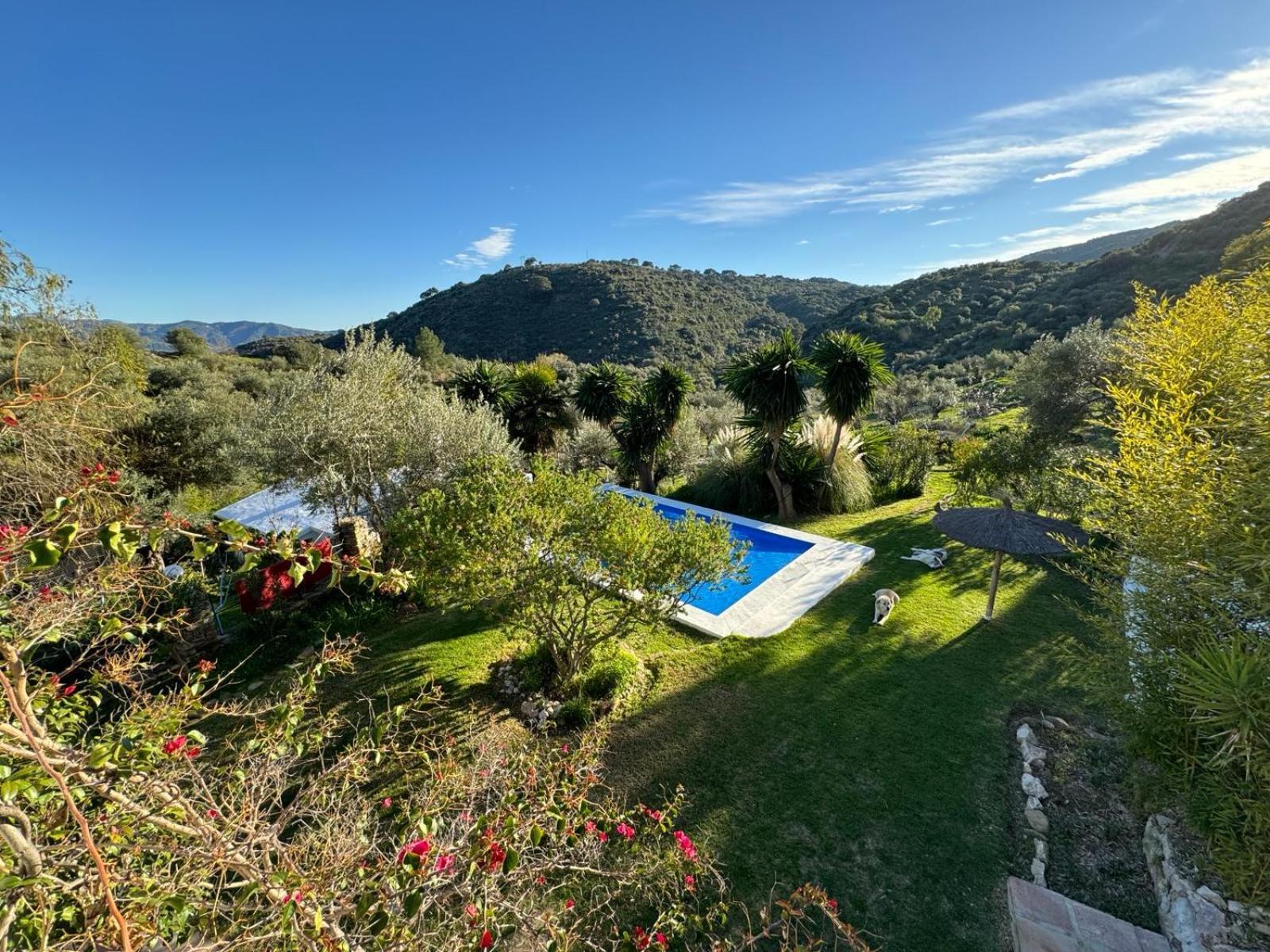 Villa La Fontana Cortes de la Frontera Esterno foto