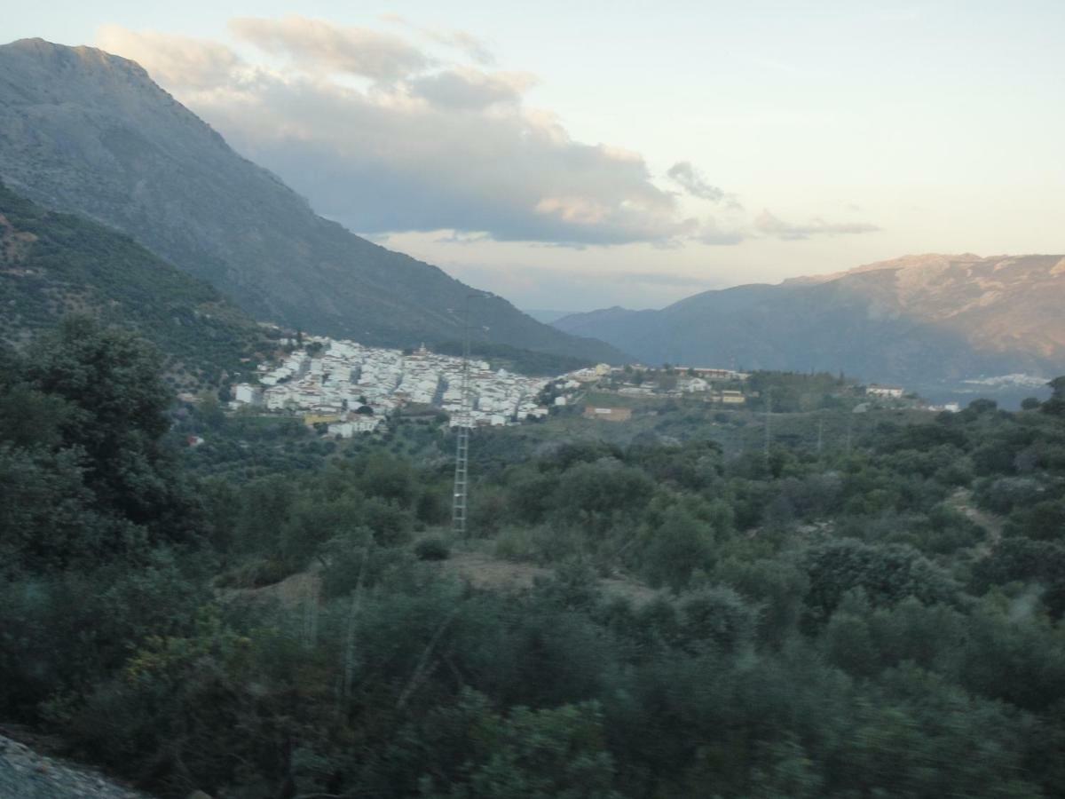 Villa La Fontana Cortes de la Frontera Esterno foto