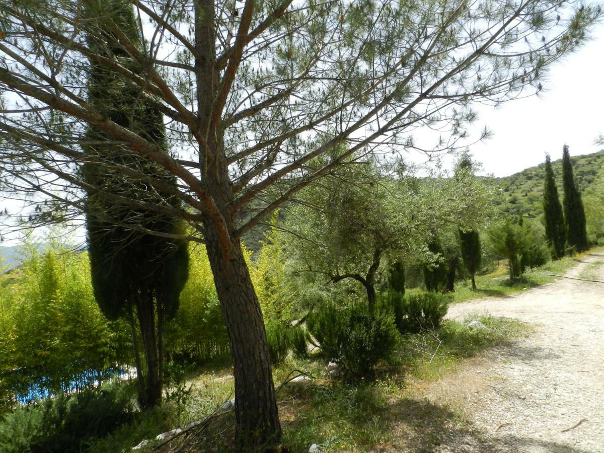 Villa La Fontana Cortes de la Frontera Esterno foto