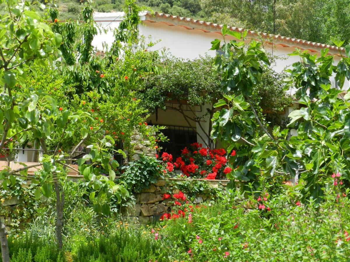 Villa La Fontana Cortes de la Frontera Esterno foto